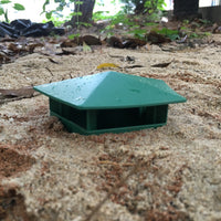 5 Pcs Snail Trap 3.9" x 2.4" x 2.8" Eco-Friendly to Catch Slugs Snails Catcher (Green)